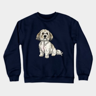 Cute Shichon Dog | Zuchon | Bichon Frise Shih Tzu cross Crewneck Sweatshirt